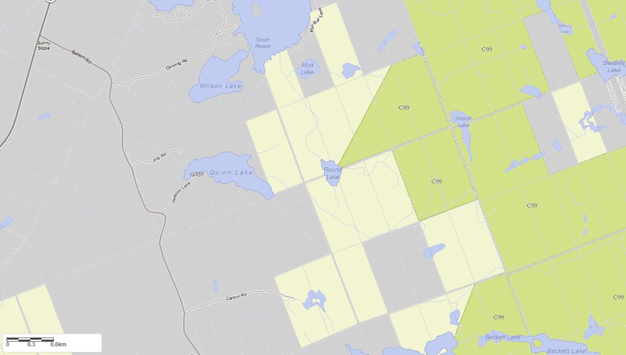 Crown Land Map of Quinn Lake in Municipality of Whitestone and the District of Parry Sound